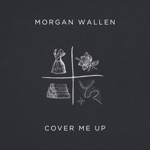 songs like Cover Me Up