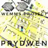 Stream & download Prydwen - Single