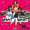 What i Want (feat. Uncle Murda) - Single album lyrics, reviews, download