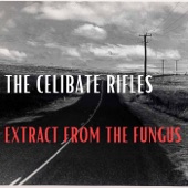 The Celibate Rifles - You Can't Put Your Arms Around a Memory