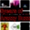Pryda - Arazzy Buzz lyrics