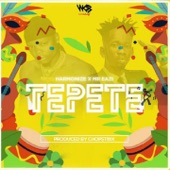 Harmonize - Tepete