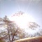 Redbud - Cricketfish lyrics