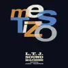 Stream & download Mestizo (feat. James Thompson) - Single