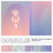 Burst Into Flames (Pkacarl Remix) artwork