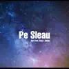 Stream & download Pe Sleau (feat. Roby & Sabian) - Single