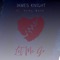 Let Me Go (feat. Romy Wave) - James Knight lyrics