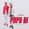 Papa Bi - Single