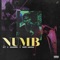 Numb (feat. Dally Auston & Mumble El Diablo) - S.Y. lyrics