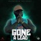 Gone a Lead artwork