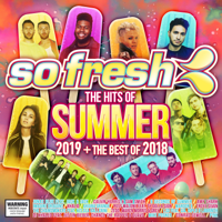 Various Artists - So Fresh: The Hits of Summer 2019 + The Best of 2018 artwork