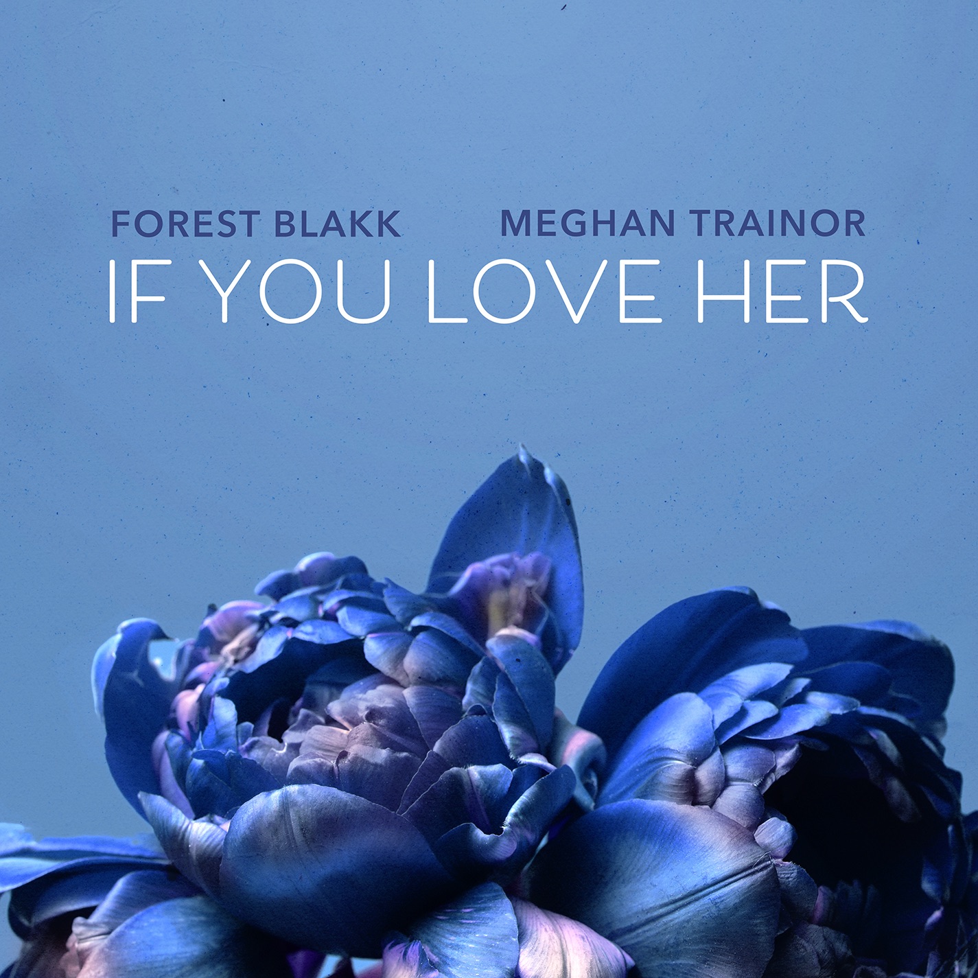 Forest Blakk - If You Love Her (feat. Meghan Trainor) - Single