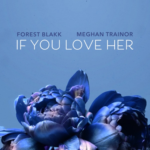 Forest Blakk/ Meghan Trainor - If You Love Her
