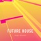 Future House - Sergey Wednesday lyrics