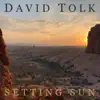 Setting Sun - Single album lyrics, reviews, download