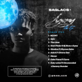 Agony the EP (feat. DYNA, Dremo, Rhymes Bobo, BJ SHOW, DAMMY THUNDER & Oluwacoded) - Saglacs