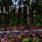 Normal Living - Pj Andersson lyrics