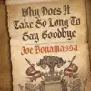 Why Does It Take So Long To Say Goodbye - Single album lyrics, reviews, download