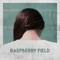 John (feat. Lee John & John OFA Rhee) - Raspberry Field lyrics