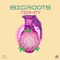 Tighty - Bigroots lyrics