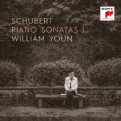 Schubert: Piano Sonatas I artwork