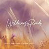 Wilderness Roads (Instrumental) - Salt Of The Sound & Simon Wester
