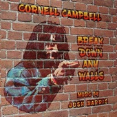 Break Down Any Walls (feat. Cornell Campbell) artwork