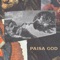 Perdona Me (feat. PRODUK & Crayze) - Paisa God lyrics