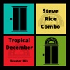 Tropical December (Elevator Mix) - Single artwork