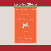 Mark Haddon - The Curious Incident of the Dog in the Night-time artwork