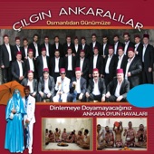 ÇILGIN ANKARALILAR artwork