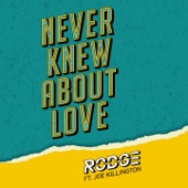 Never Knew About Love (feat. Joe Killington) artwork