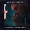 Never Let Me Go - Single