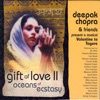 A Gift of Love Vol. 2 - Oceans of Ecstasy