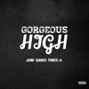 Gorgeous High - Single