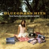 Bluegrass Hits - Twenty Timeless Favorites from Yesterday and Today