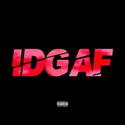 I.D.G.A.F Song Lyrics