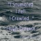 I Stumbled I Fell I Crawled - Hugh Graeme lyrics