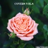 Covers Vol.8 - EP