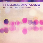 Fragile Animals - Let Go