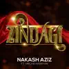 Stream & download Zindagi (feat. Hricha Narayan) - Single