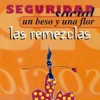 Seguridad Social - Un beso y una flor (House Mix)
