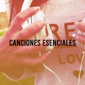 Canciones Esenciales artwork