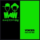 Voices in My Mind (Masters At Work Classic Mix) artwork