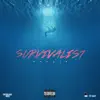 Stream & download Survivalist - Single