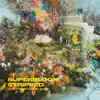 SUPERBLOOM (stripped) [live from the bloom] - Single album lyrics, reviews, download