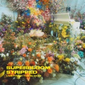 SUPERBLOOM (stripped) [live from the bloom] artwork