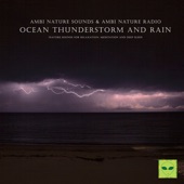 Binaural Sleep Sounds of Thunderstorm and Beach Waves artwork