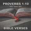 Holy Bible Niv Proverbs 1 - 10