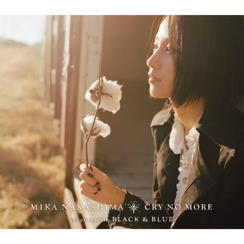 中島 美嘉 - CRY NO MORE - EP (2013) [iTunes Plus AAC M4A]-新房子